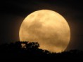/album/galeria-de-fotos1/full-moon-jpg/